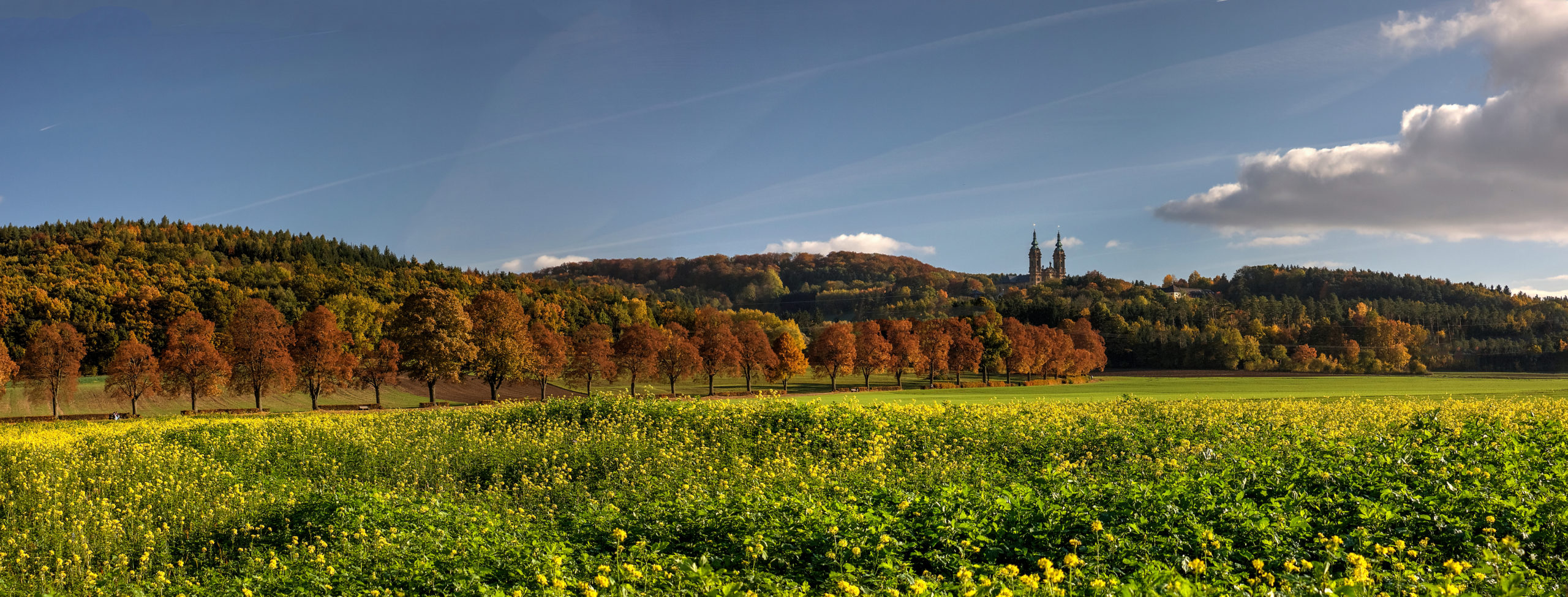 test, Foto © Berti Steiner, Alle Rechte vorbehalten