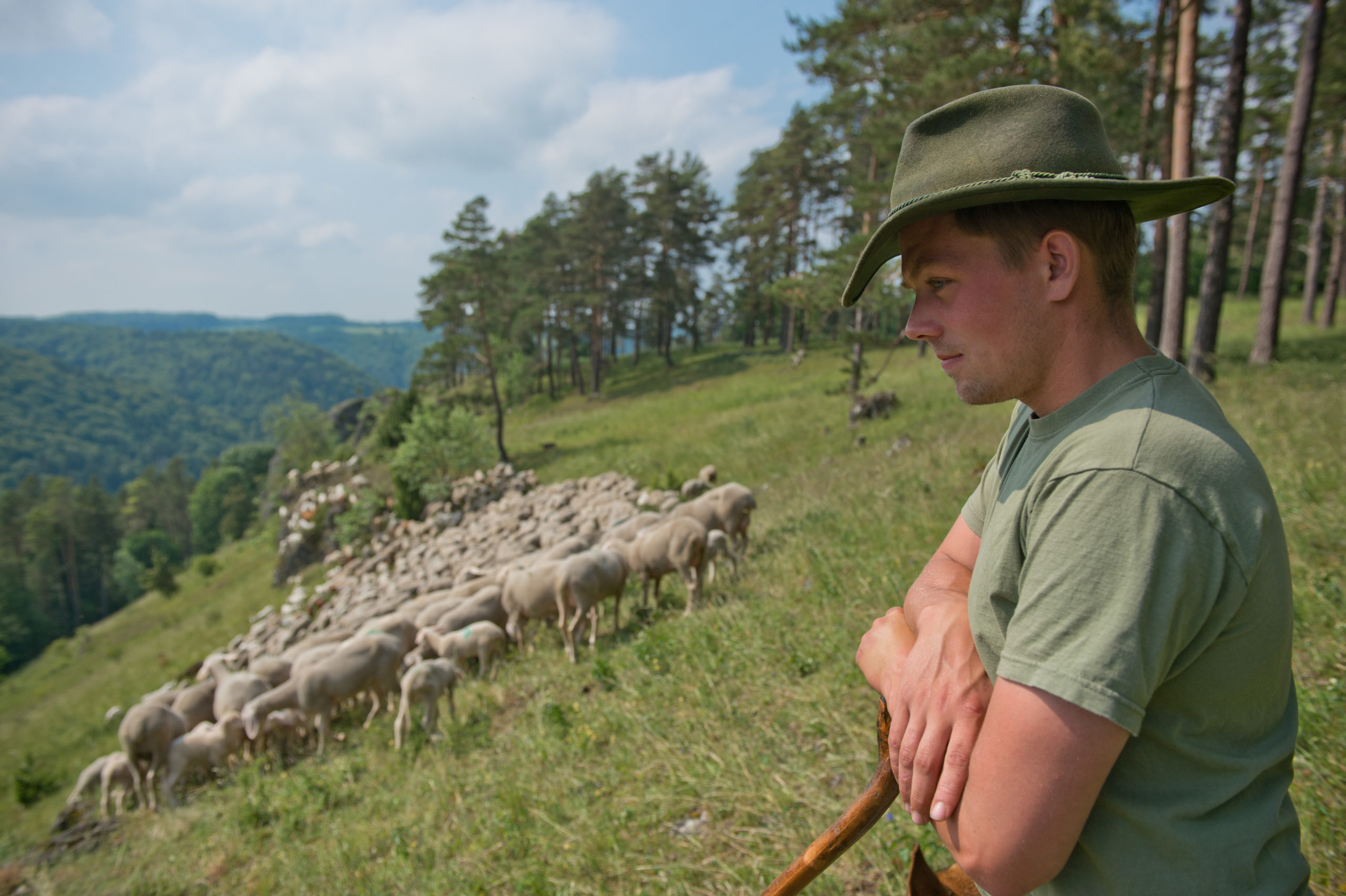 Schäfer mit Hut, der seine Herde im Blick hat , Foto © Andreas Hub, Alle Rechte vorbehalten