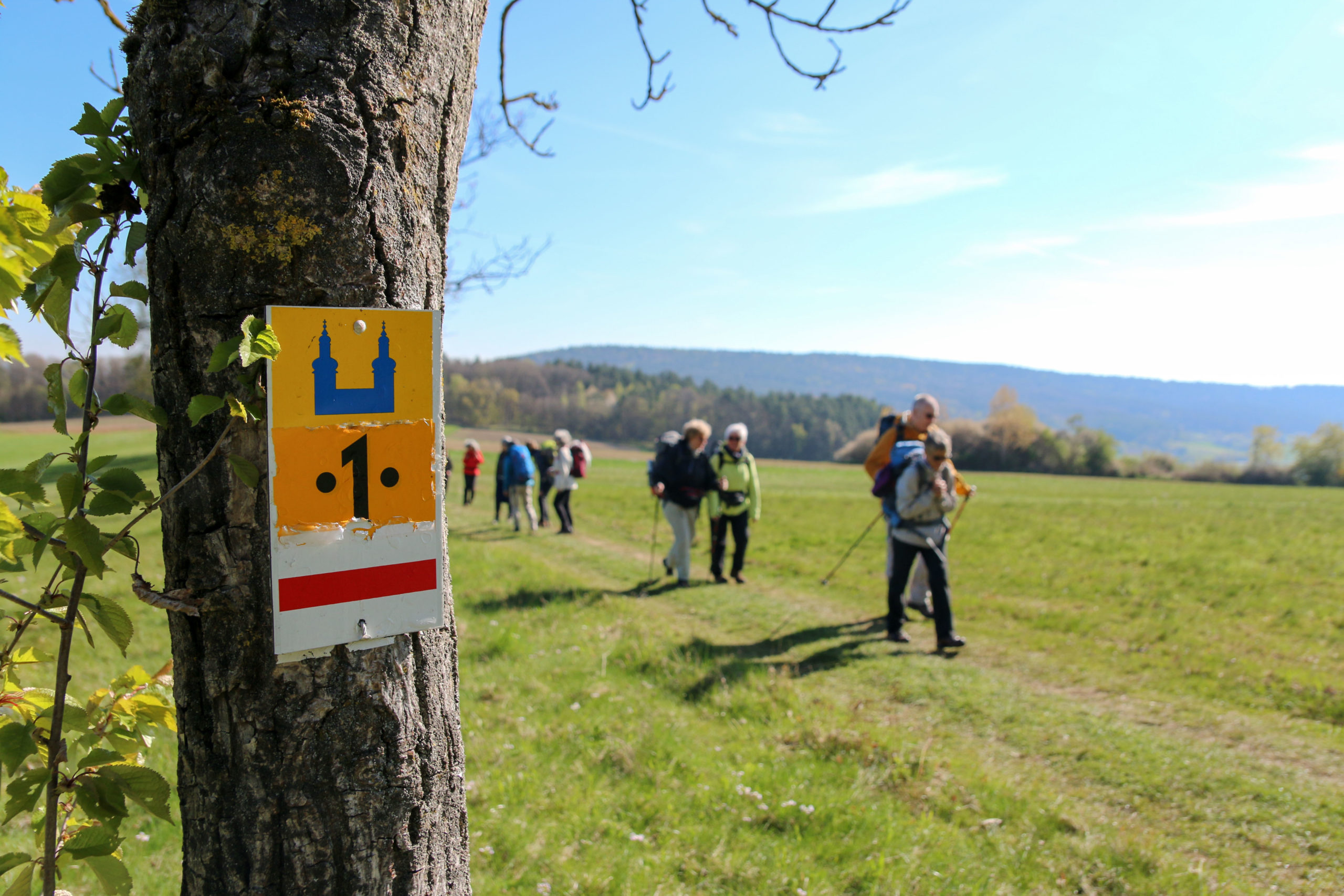 test, Foto © Adriane Lochner, Alle Rechte vorbehalten