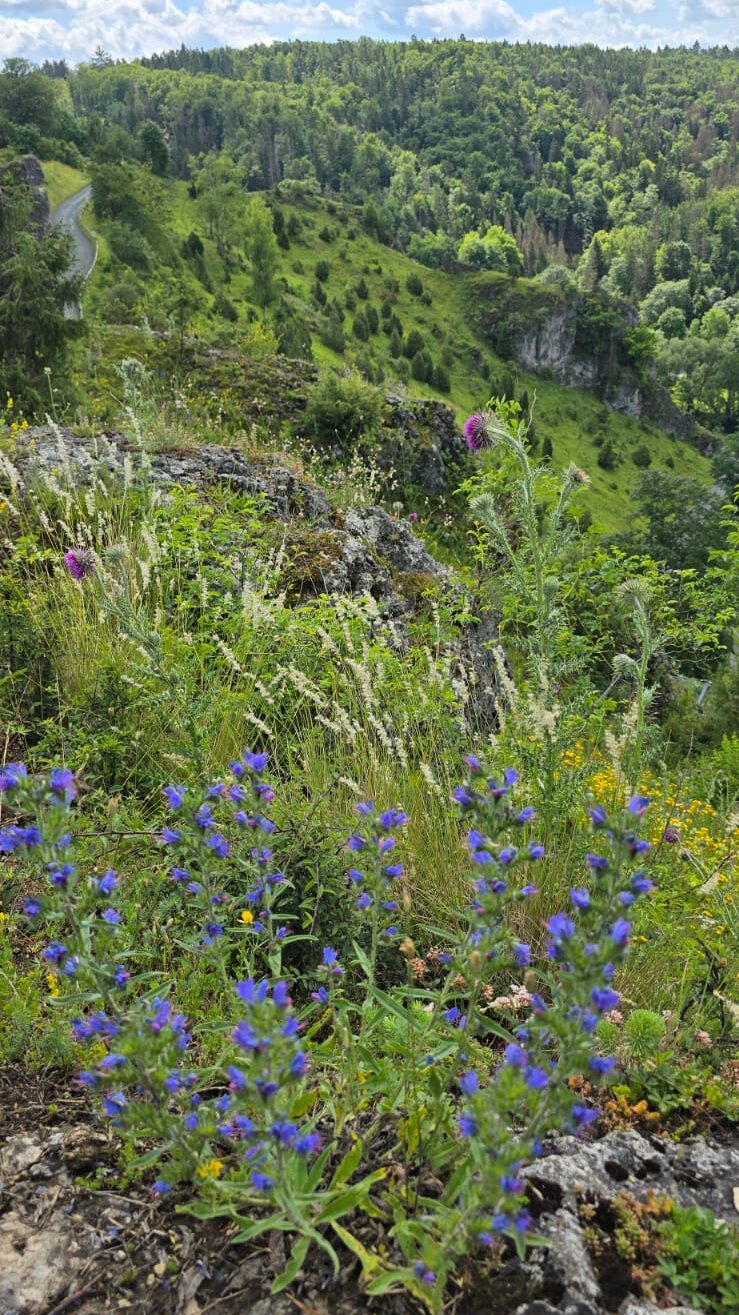 Wallersberg, Kleinziegenfelder Tal