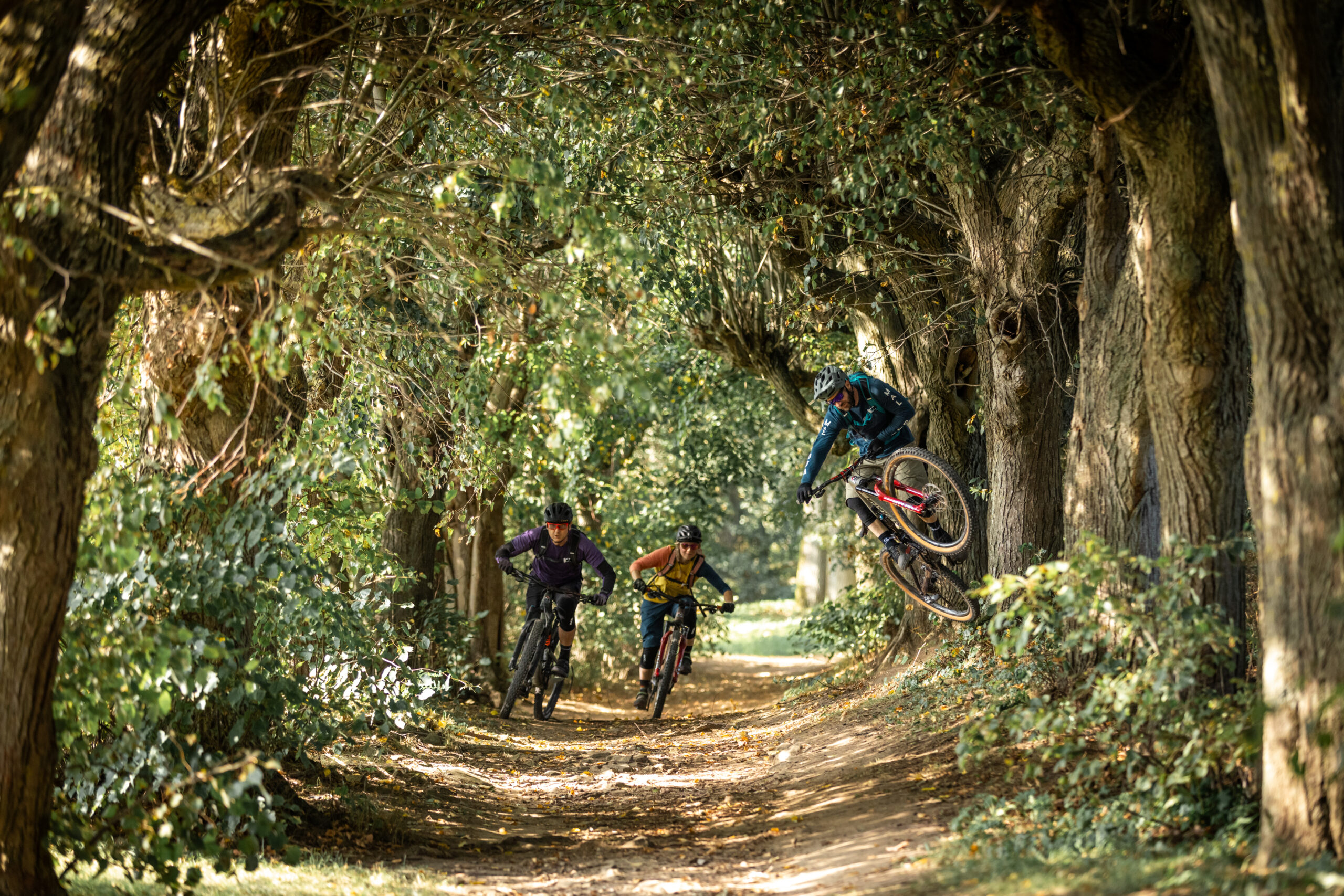 Obermain.Jura auf Platz 3 der TOP 13 Mountainbike-Reviere 